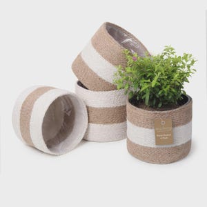 May include: Four woven plant baskets with a striped design in natural and white tones. One basket holds a green plant. The baskets are made of a textured material and are lined with plastic. The tag reads "Plant Basket 4 Pack."