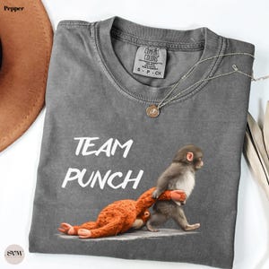 May include: A gray Comfort Colors t-shirt with the words "TEAM PUNCH" in white. The shirt features a graphic of two monkeys, one orange and one gray, in a playful pose. A silver necklace with a pendant is draped on the shirt.