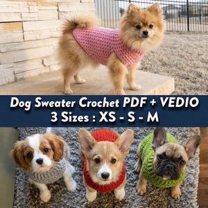 Peut inclure: Un chien Poméranien porte un pull pour chien rose au crochet. En dessous, trois petits chiens portent des pulls au crochet gris, rouge et vert. Le texte sur l'image indique "Dog Sweater Crochet PDF + VEDIO 3 Sizes: XS - S - M."