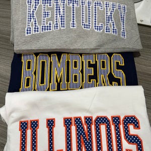 Custom Varsity Applique Sweatshirt, Personalized School Name Crewneck, Embroidered Patchwork College Spirit Sweatshirt image 4
