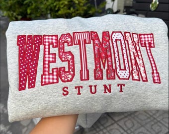 Custom College Patchwork Applique Sweatshirt, Personalized Mascot Embroidered Crewneck, Varsity School Spirit Sweatshirt