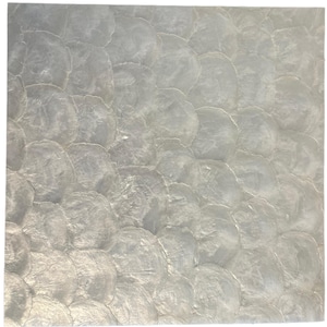 Mosaico de concha de capiz plateada natural, panel de revestimiento de pared con espejo de nácar, lámina para salpicadero con diseño de escamas de pez y abanico de concha marina