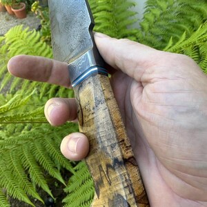 May include: Close-up of a handcrafted knife with a patterned steel blade and a wooden handle. The handle features a light brown and dark brown wood grain. A thin blue stripe accents the blade's base. The knife is held against a backdrop of green foliage.