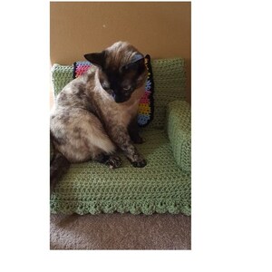 May include: A green crocheted cat bed with a colorful crocheted pillow. A brown and white cat is sitting on the bed.