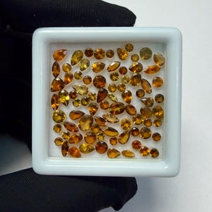 Op de afbeelding: Een verzameling barnsteenkleurige edelstenen van verschillende grootte in een witte vierkante bak. De edelstenen hebben verschillende vormen, waaronder rond, druppelvormig en ovaal, met verschillende tinten geel en bruin. De bak wordt vastgehouden door een persoon met een zwarte handschoen.