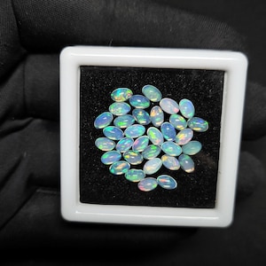 May include: A collection of oval-shaped opals displayed in a white square box with a black interior. The opals exhibit a play of color, showcasing iridescent flashes of blue, green, and yellow. The gemstones are arranged closely together.