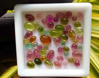 May include: A collection of colorful gemstones in a white square container. The gems vary in size and shape, with colors including pink, green, orange, and clear. The container is held against a background of green and yellow foliage.