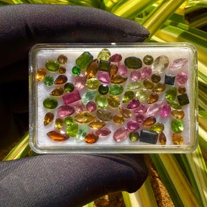 Op de afbeelding: Een verzameling kleurrijke edelstenen in een doorzichtige rechthoekige container. De edelstenen variëren in vorm en grootte, met kleuren als groen, roze, geel en bruin. De container staat op een witte ondergrond.