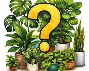 Mystery Plant Cutting Bundle | Surprise Houseplant Cuttings | 3 cuts | Philodendron, Pothos, Hoya | Starter Plant Pack