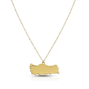 May include: A gold-coloured necklace with a pendant shaped like the country of Turkey. The pendant hangs from a fine chain. The necklace is shown against a white backdrop.