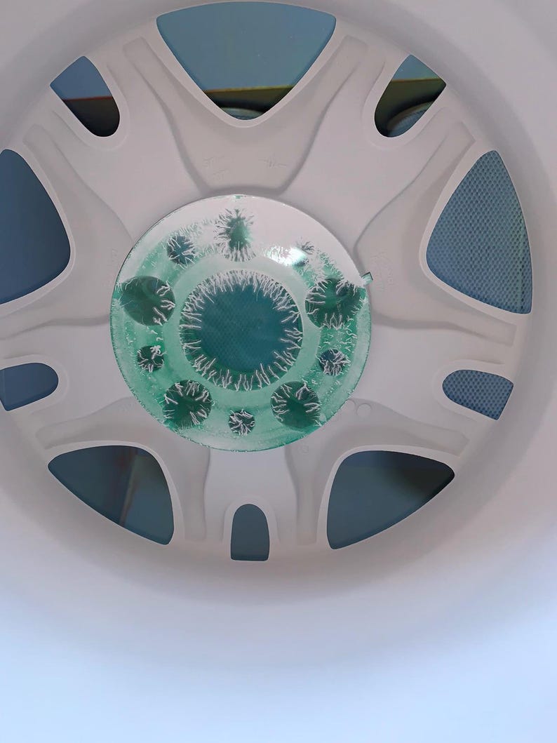 Op de afbeelding: Een wit, cirkelvormig object met een reeks gebogen uitsparingen en een centraal, cirkelvormig ontwerp. Het centrale ontwerp heeft een groen, getextureerd patroon met kleine, stekelige details. Het object lijkt een onderdeel van een groter apparaat te zijn.
