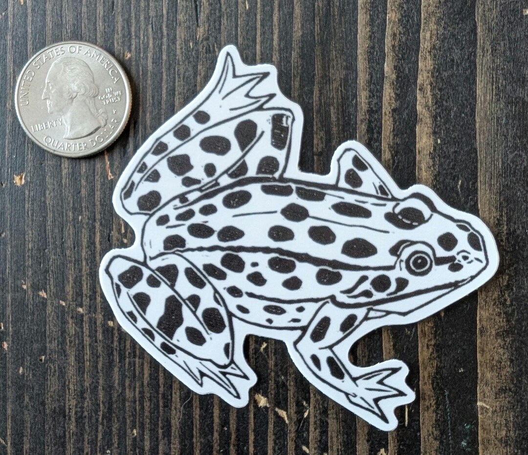 Northern Leopard Frog Sticker - Etsy
