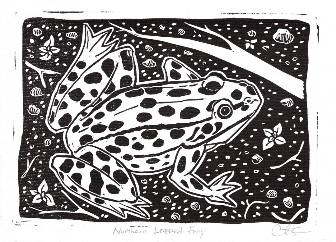 Northern Leopard Frog Linocut - Etsy