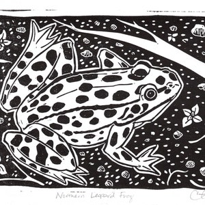Northern Leopard Frog Linocut