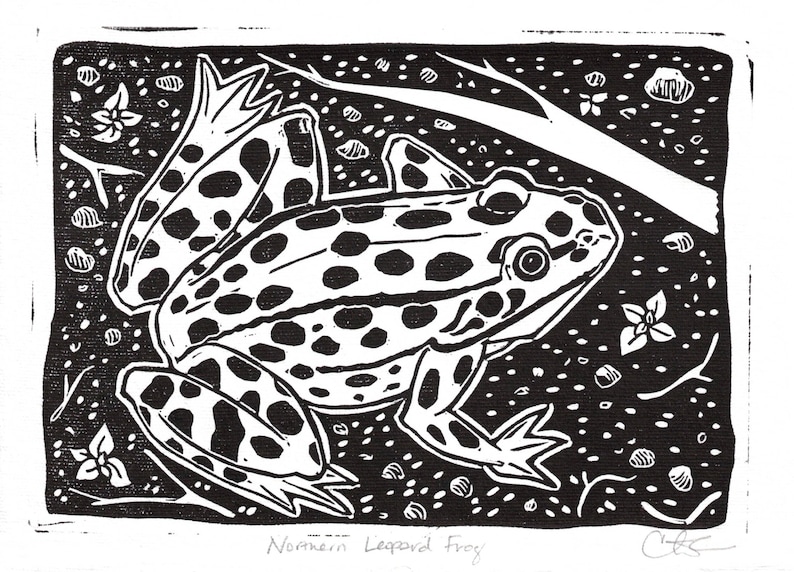 Northern Leopard Frog Linocut - Etsy
