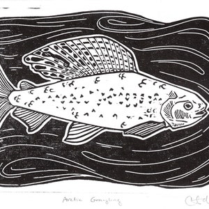 May include: Black and white linocut print of an Arctic Grayling fish. The fish is depicted in profile, with detailed fins and scales, set against a dark, wavy background. The text "Arctic Grayling" is at the bottom.