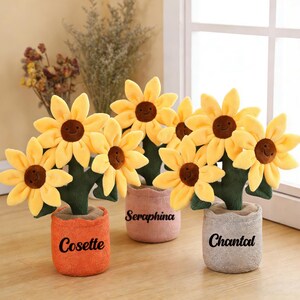 Könnte beinhalten: Plüsch-Sonnenblumensträuße in dekorativen Töpfen. Die Blumen haben gelbe Blütenblätter und braune Zentren mit lächelnden Gesichtern. Die Töpfe sind orange, rosa und grau, mit den Namen Cosette, Seraphina und Chantal.