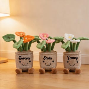 Könnte beinhalten: Drei Plüsch-Blumentöpfe mit lächelnden Gesichtern und den Namen: Aurora, Stella und Laney. Jeder Topf hat eine andersfarbige Blume: orange, rosa und weiß. Die Töpfe haben braune Füße und grüne Blätter.