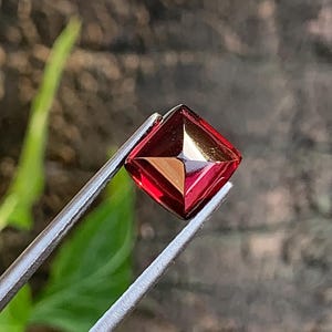 May include: A square-cut, faceted gemstone held by tweezers. The gem is a deep red colour with a reflective, golden interior. The tweezers are silver and the background is blurred, with green foliage and a brown surface.