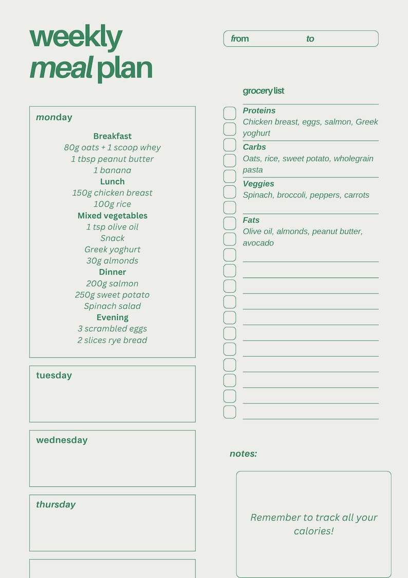 12 Week Body Transformation Workout Plan PDF | Digital Fitness Guide ...