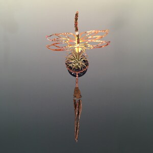 Könnte beinhalten: Ein handgefertigter Kupfer-Libellen-Luftpflanzenhalter. Die Libelle hat filigrane, ausgeschnittene Flügel und einen perlenbesetzten Körper. Eine kleine Luftpflanze sitzt in einer dunkelblauen, drahtumwickelten Kugel. Die Libelle hängt an einem Kupferdraht und hat einen dekorativen Schwanz.