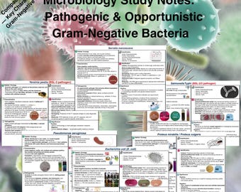 Apuntes de estudio sobre bacterias gramnegativas: Microbiología, patógenas (Descarga digital)