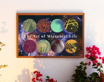 Póster de colonias bacterianas / Arte microbiológico / Material imprimible de ciencia (descarga digital)