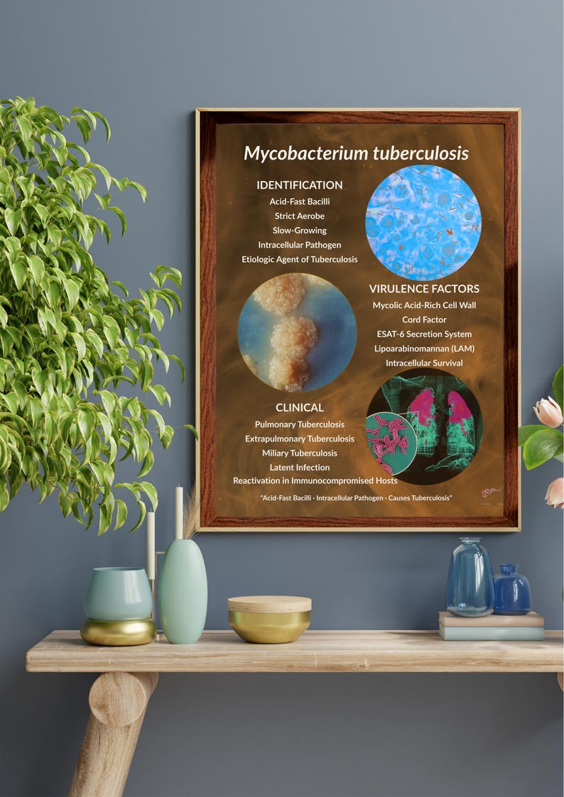 Mycobacterium Tuberculosis Poster | TB Study Guide | Acid-fast Bacteria ...