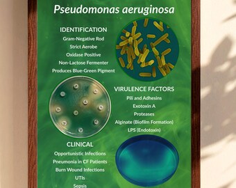Affiche imprimable de Pseudomonas aeruginosa, art mural de laboratoire médical (téléchargement numérique)