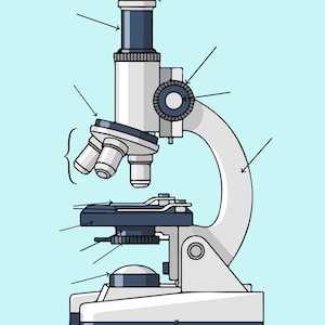 Puede incluir: Ilustración de un microscopio compuesto con partes etiquetadas. El microscopio es principalmente blanco y gris, con detalles en azul oscuro. El texto "Compound Microscope" está en la parte superior de la imagen.