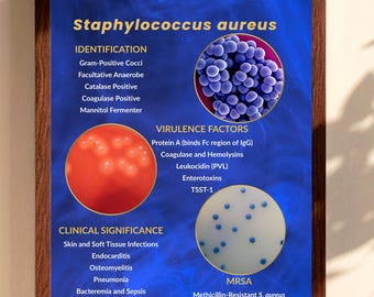 Poster de microbiologie de Staphylococcus aureus | Art mural de laboratoire médical (téléchargement numérique)