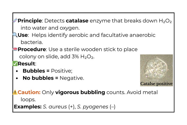 catalase test - principle, procedure, results, uses &... Microbiology Flashcards – 30 Key Biochemical Tests for Bacterial ...