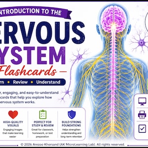 May include: Educational flashcards titled Introduction to the Nervous System featuring a human nervous system diagram. The set includes 35 cards measuring 4x6 inches, available in digital and printable formats with review quizzes and clear visuals.