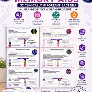 May include: A set of 32 microbiology memory aid cards featuring clinical information on bacteria. The cards include text, diagrams, and color-coded sections for memory aids, quick explanations, high-yield facts, and laboratory identification.