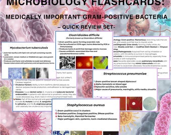 Tarjetas didácticas de microbiología: Estudio de bacterias grampositivas clave para repaso rápido (PDF digital e imprimible)