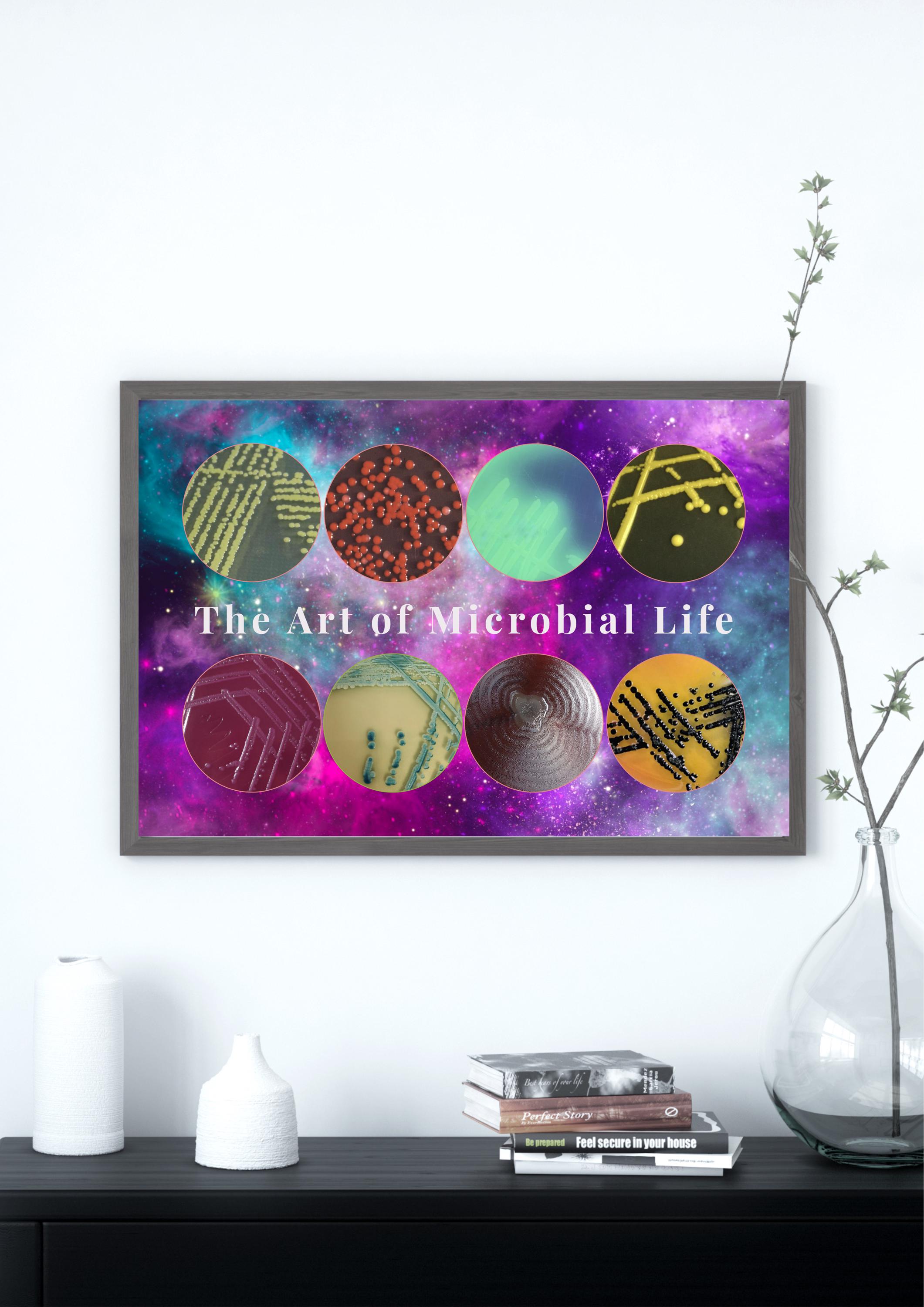 Bacterial Colonies Poster | Microbiology Art | Science Printable ...