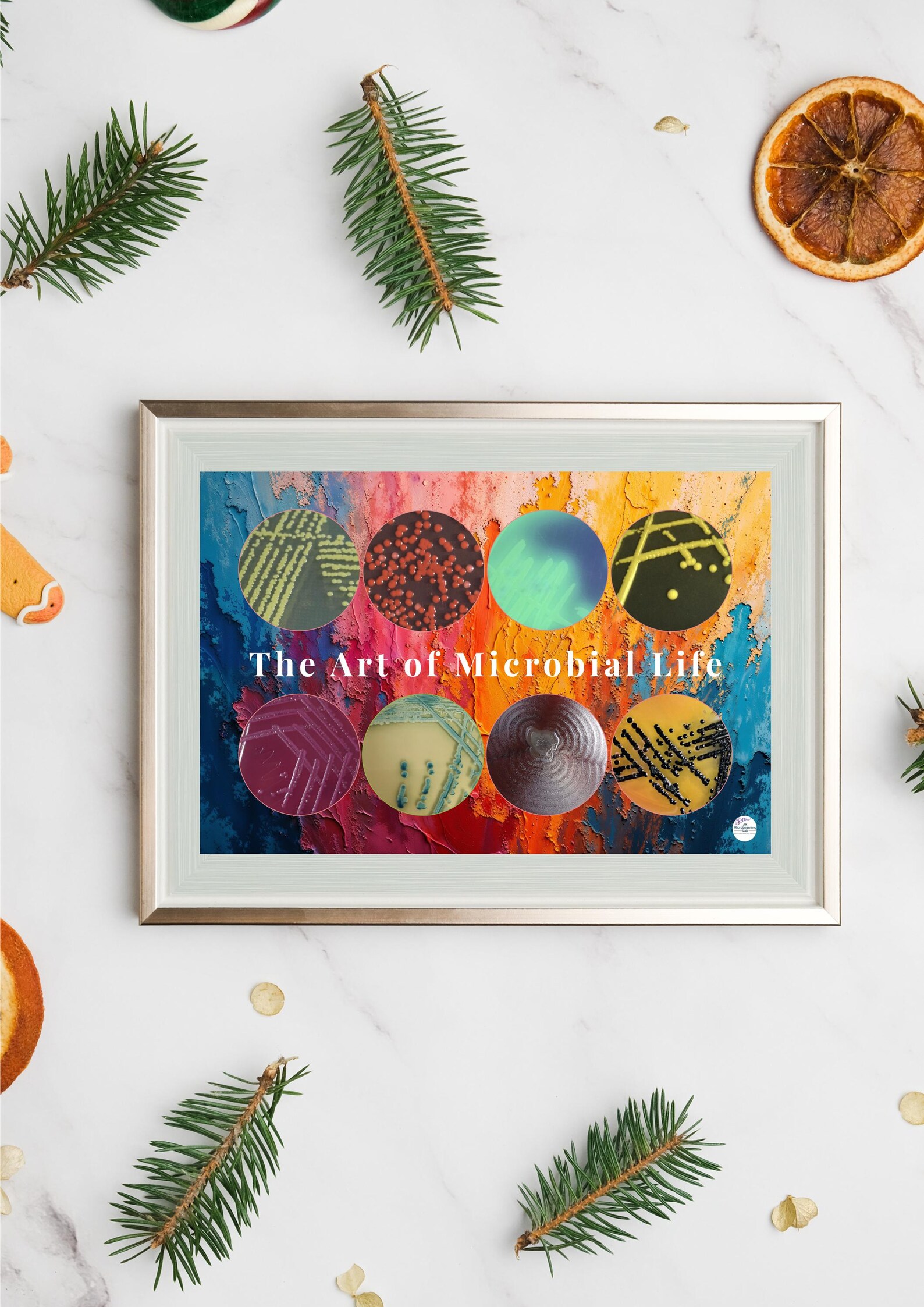 Bacterial Colonies Poster | Microbiology Art | Science Printable ...