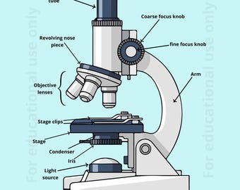 Poster de diagramme de microscope | Art mural sciences biologiques | Tableau de laboratoire imprimable (5 tailles)
