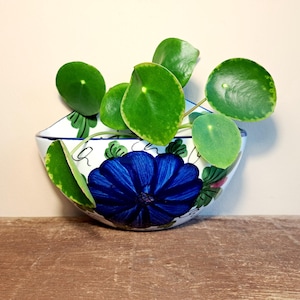 Könnte beinhalten: Ein keramischer Wandtopf mit blauem Blumendesign und grünen und weißen Akzenten. Der Topf enthält eine grüne Pflanze mit runden Blättern. Der Topf steht auf einer Holzoberfläche.