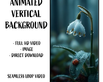 Ladybug in the Rain Nature Animated HD Video Loop and JPG Background for Phones