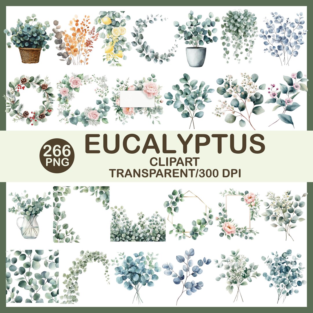 Eucalyptus Watercolor Clipart Bundle, Greenery PNG Set (digital ...