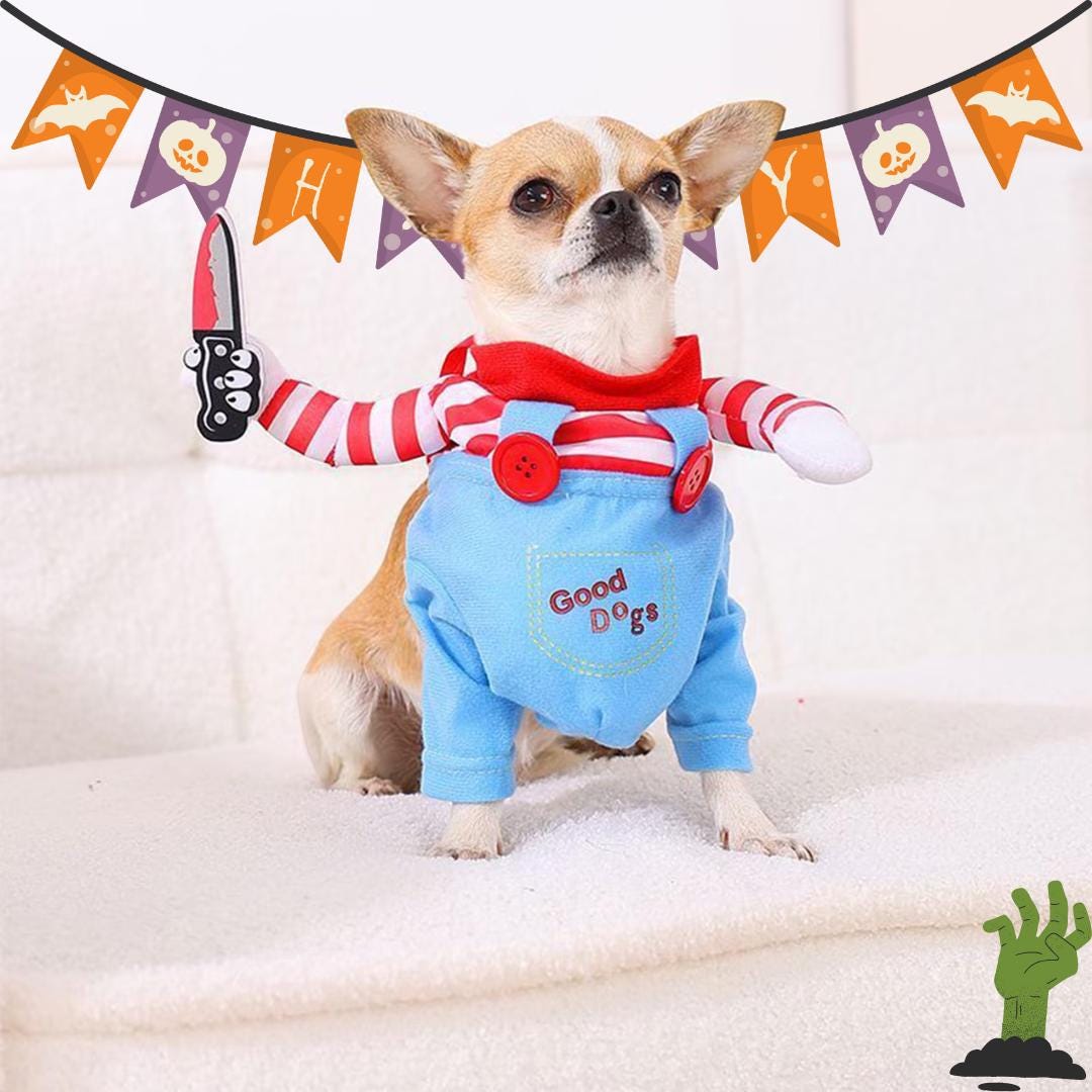 Chucky pet costume Italia
