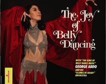 Belly Dance , Top  , Belt,  and Choker Set