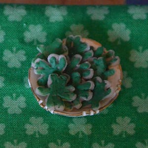 Dollhouse Miniature Food - One Inch Scale Iced St. Patrick's Day Cookies - Shamrocks - On Plate - Removable