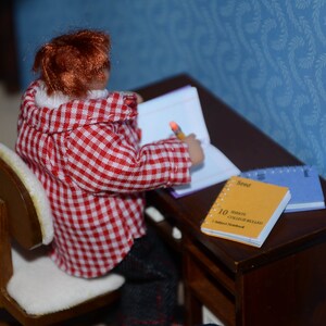 May include: A doll wearing a red and white checkered shirt sits at a wooden desk with a notebook and a yellow notepad that says "10 Minutes College Board" on it.