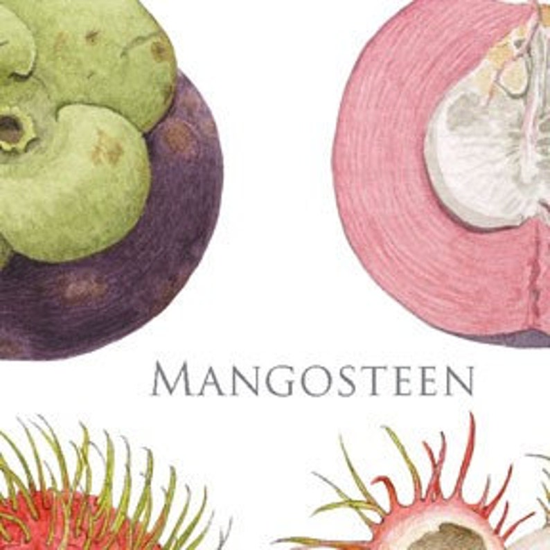 Kauai Sunshine Market, Large Giclee Print Etsy