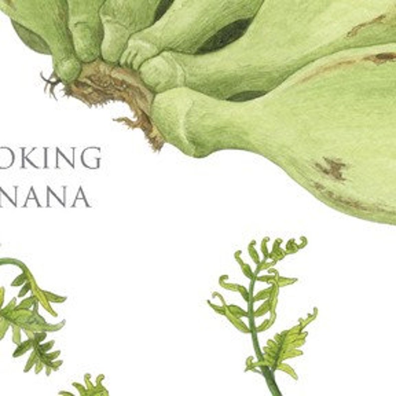 Kauai Sunshine Market, Large Giclee Print Etsy