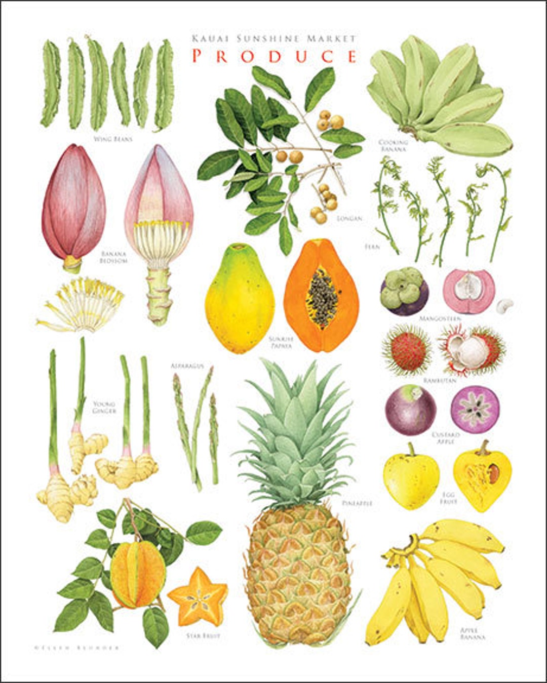 Kauai Sunshine Market, Large Giclee Print Etsy