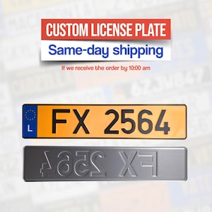 Op de afbeelding: Twee kentekenplaten worden getoond. De bovenste plaat is oranje met zwarte tekst "FX 2564". De onderste plaat is grijs met dezelfde tekst in omgekeerde volgorde. Boven staat "CUSTOM LICENSE PLATE".