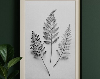 Könnte beinhalten: Schwarz-weiß gerahmter Kunstdruck mit drei stilisierten Farnwedeln. Die botanische Illustration hat eine minimalistische Ästhetik mit zarten Linien und einer neutralen Farbpalette. Das Kunstwerk wird auf einem hellgrauen Hintergrund gezeigt.